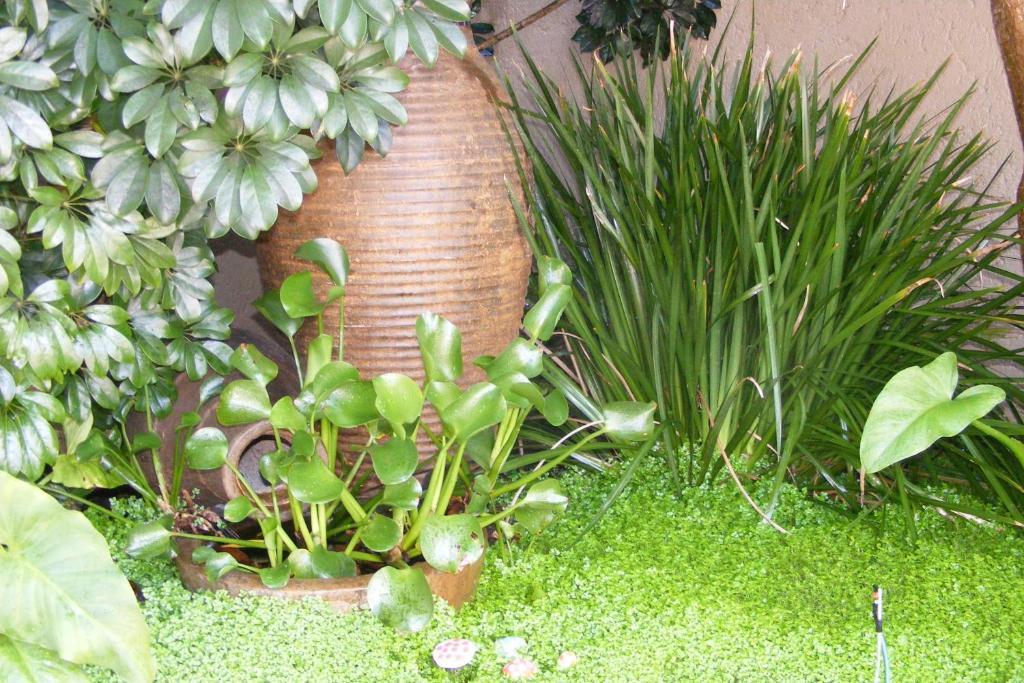 Hotel Linkside 2 Self-Catering Mossel Bay Esterno foto